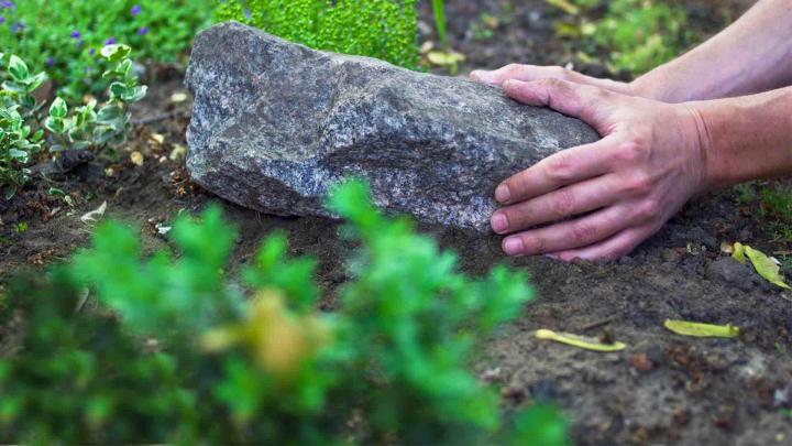 Jardinage et élagage Le Bourg-Dun