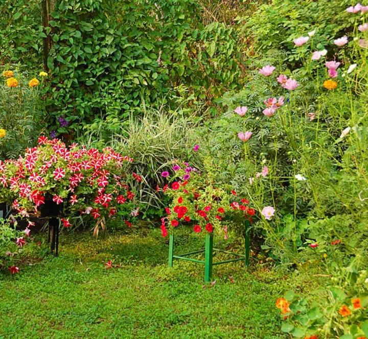 Jardinage et élagage Le Bourg-Dun