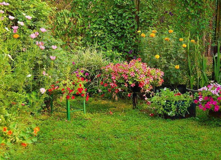 Entretien de jardin et d’espace vert Le Bourg-Dun
