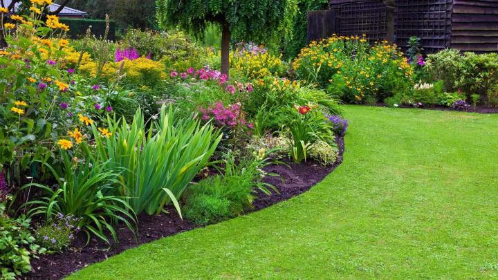Jardinier élagueur au Bourg-Dun