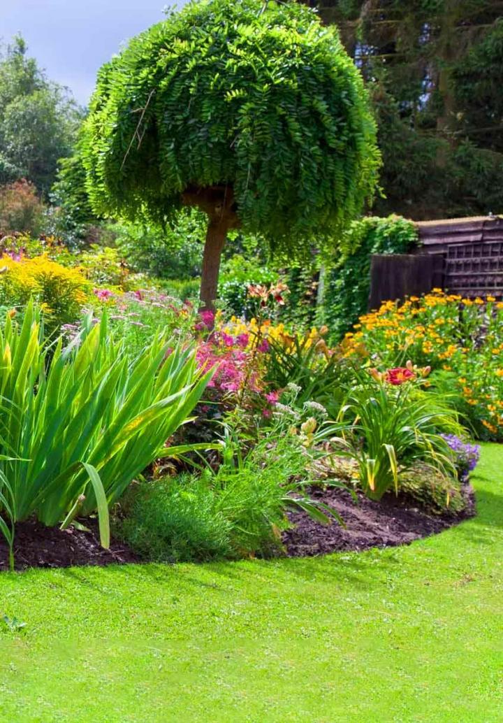 Jardinier élagueur au Bourg-Dun