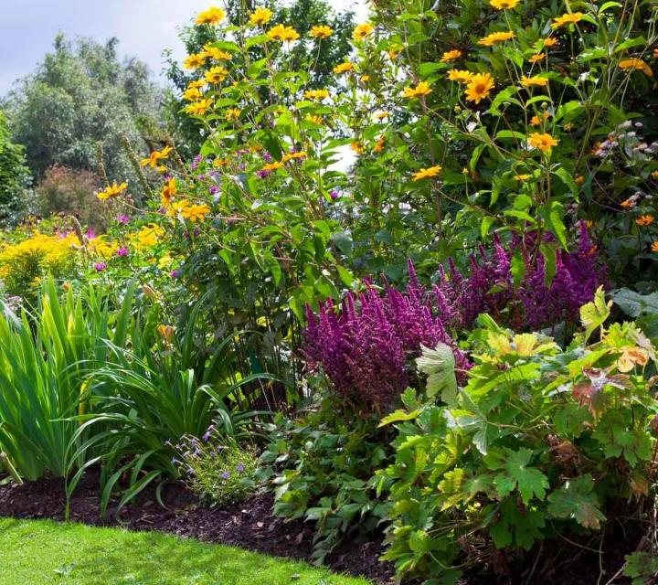 Jardinier élagueur au Bourg-Dun