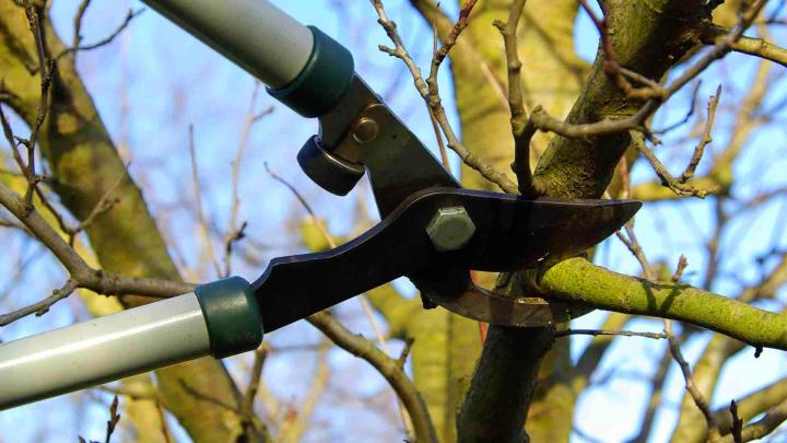 Services de jardinage et d'espaces vert Le Bourg-Dun