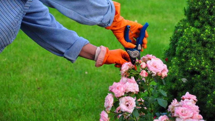Aménagement de jardin sur mesure pour votre espace vert