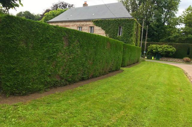 Taille de haies au Bourg-Dun